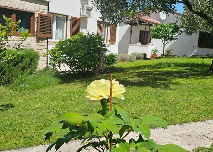 Apartments Dina