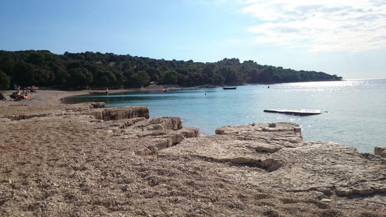 Apartament Dina